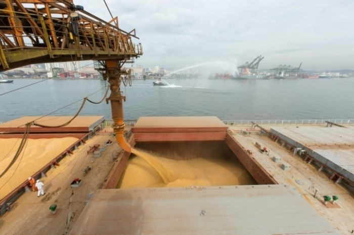 Попри розблокування роботи зернової ініціативи, вивантаження зерна в портах Великої Одеси знижується
