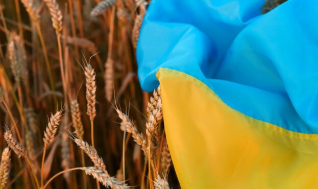 Крупнейший импортер пшеницы в мире будет покупать украинское зерно вопреки желанию России.
