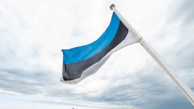 The Estonian flag offers fast service and low bureaucracy