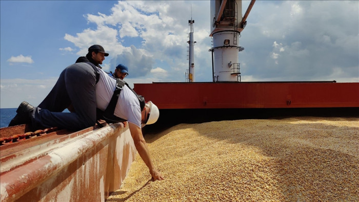 Ukraine exported 50,000 tons of agricultural products through Black Sea ports in September 2023