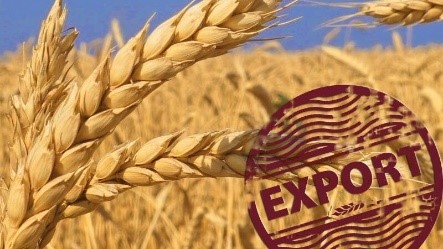Украинские агроэкспортеры открыли восемь новых экспортных рынков за полгода